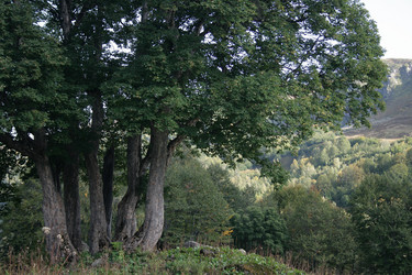 Similar image 6476555