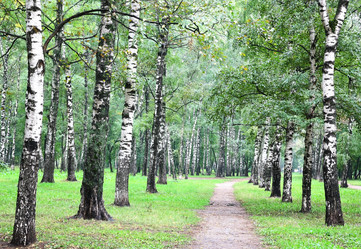 Similar image 6476557