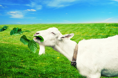 Similar image 6476559