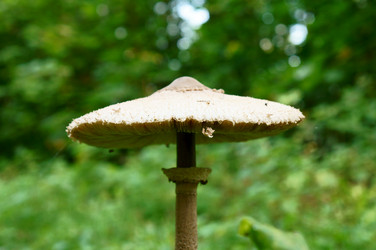 Similar image 6476571