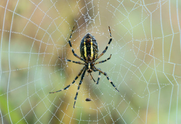 Similar image 6476572