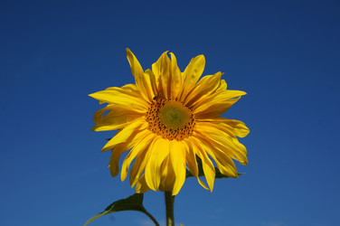 Similar image 6476573