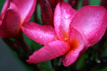 Similar image 6476630