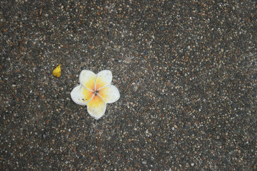 Similar image 6476632