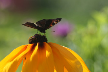 Similar image 6476634