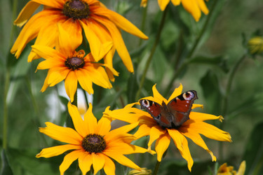 Similar image 6476635