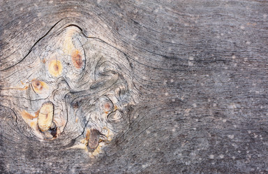 Similar image 6476719