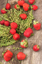 Similar image 6476724