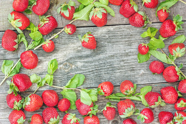 Similar image 6476727