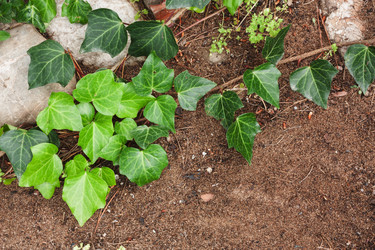 Similar image 6476730