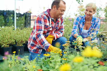 Similar image 6476789