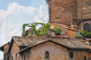 Similar image 6477009