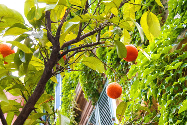 Similar image 6477027