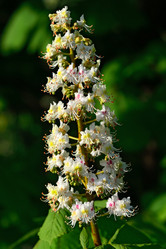 Similar image 6477134