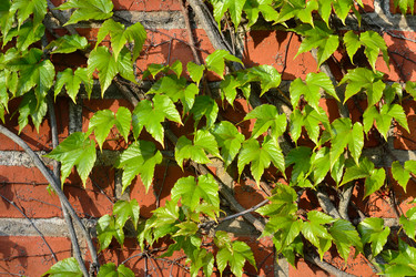 Similar image 6477136