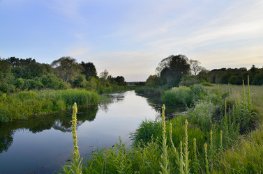 Similar image 6477139