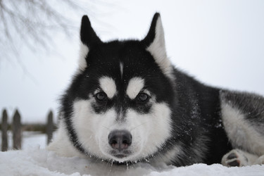 Similar image 6477142