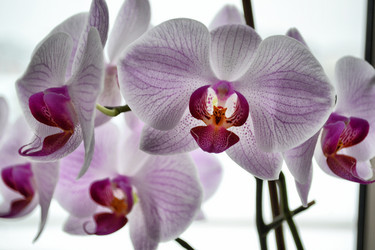 Similar image 6477143