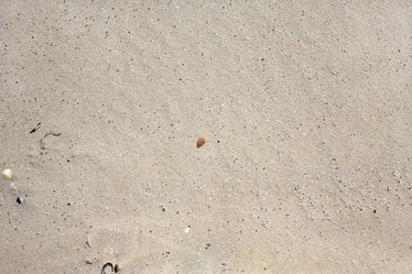 Similar image 6477152