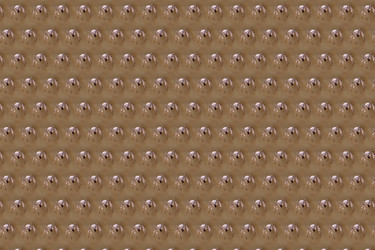 Similar image 6477157