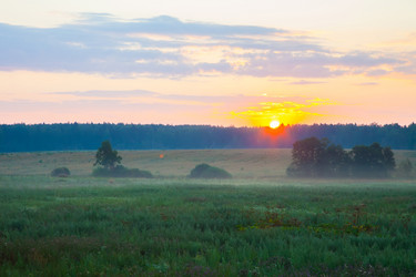 Similar image 6477158