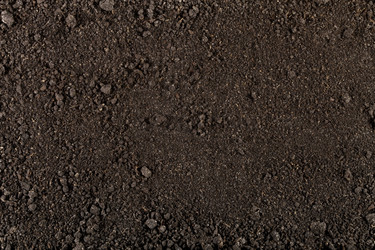 Similar image 6477167