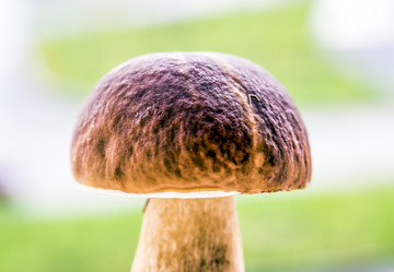 Similar image 6477173