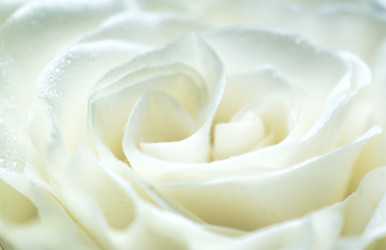 Similar image 6477179