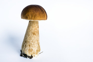 Similar image 6477181