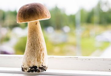 Similar image 6477182