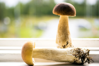 Similar image 6477183