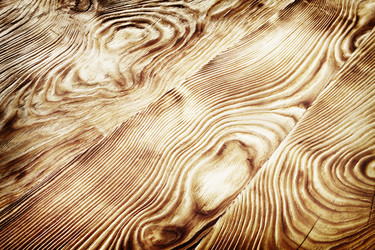 Similar image 6477191