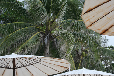 Similar image 6477193