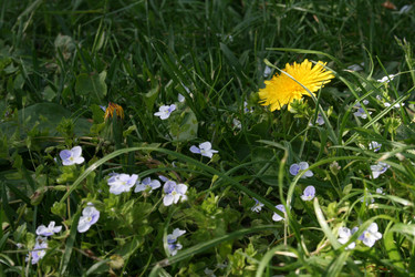 Similar image 6477195