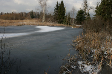 Similar image 6477196