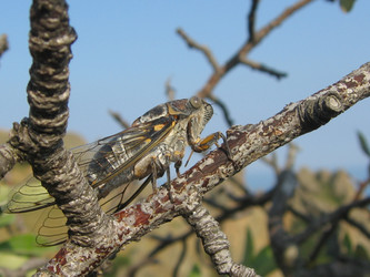 Similar image 6477197