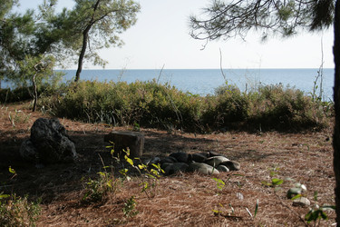 Similar image 6477198