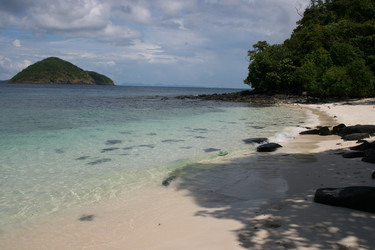 Similar image 6477199