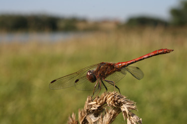 Similar image 6477200