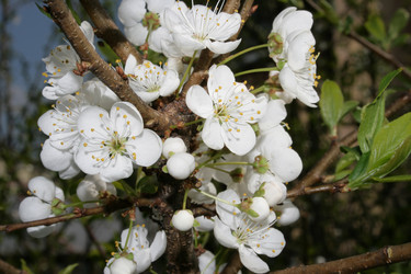 Similar image 6477201