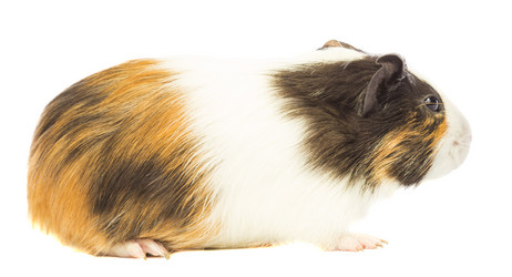 Similar image 6477245