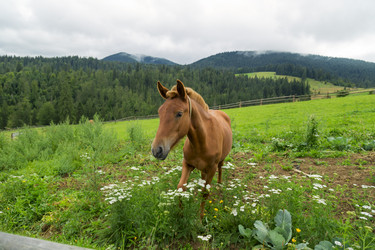 Similar image 6477254