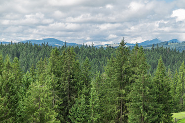 Similar image 6477260