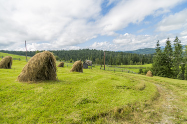 Similar image 6477266