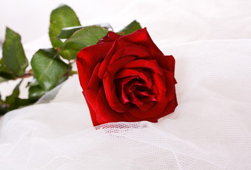 Similar image 6477347