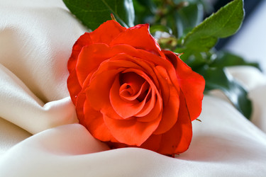 Similar image 6477349