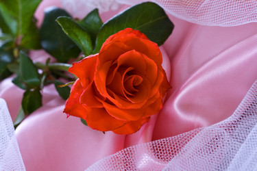 Similar image 6477350