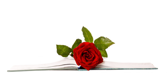 Similar image 6477351