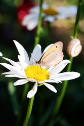 Similar image 6477356