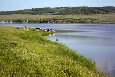 Similar image 6477364